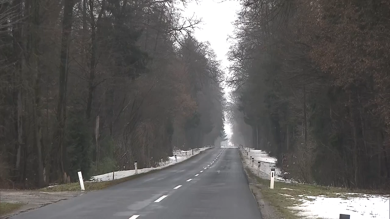 Video: Tödlicher Jagdunfall in der Steiermark