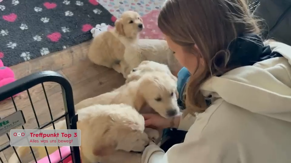 Video: Preisfehler an der Tankstelle, Familienzuwuchs und Wintereinbruch