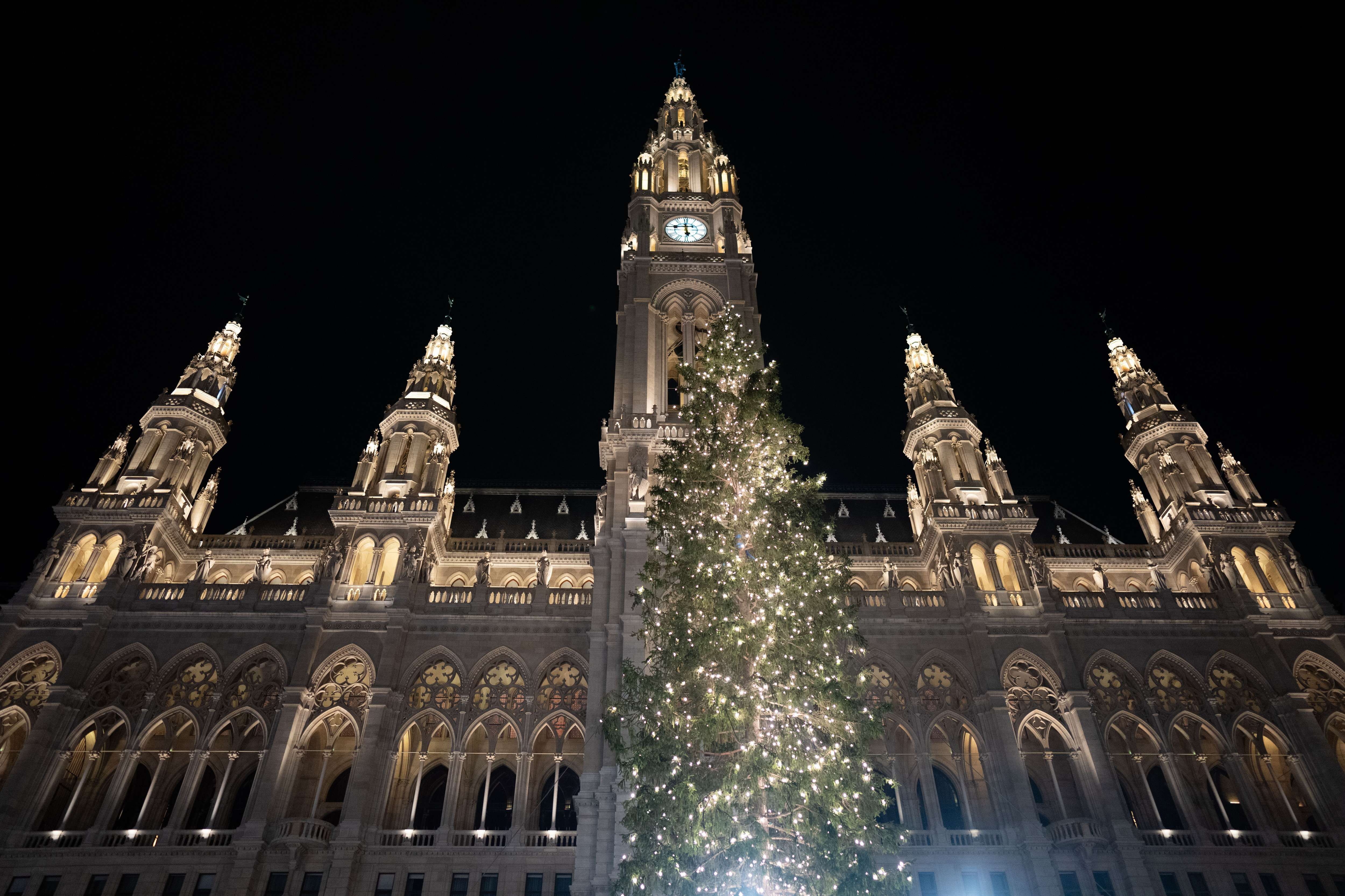 Christbaum am Wiener Rathausplatz illuminiert